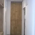 Platán