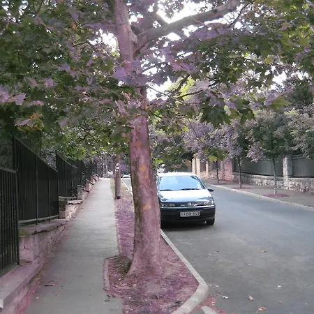 Platan アパート ブダペスト