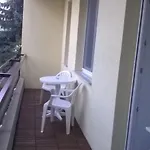 Platán *