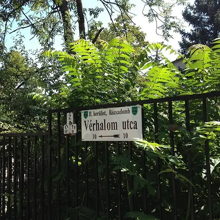 Apartment Platan *